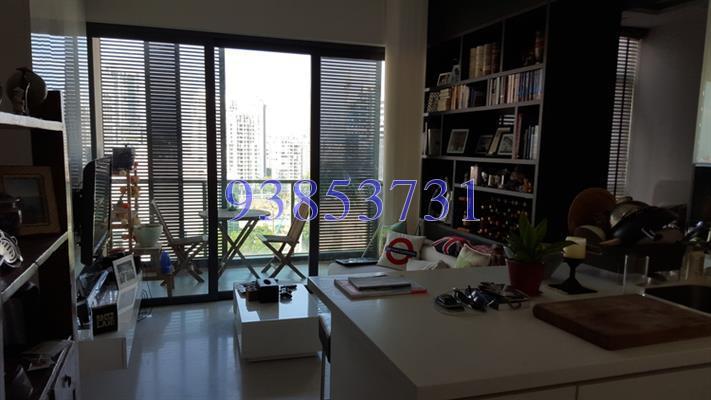 Soleil @ Sinaran (D11), Condominium #160882162